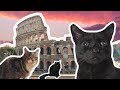 Rome&#39;s Ancient Cat Sanctuary