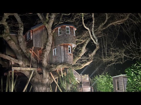 Treetops Treehouse, Devon