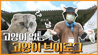 [ENG SUB/메이킹] 궁냥이 페이크 브이로그의 실체! 고양이 없는 고양이 VLOG