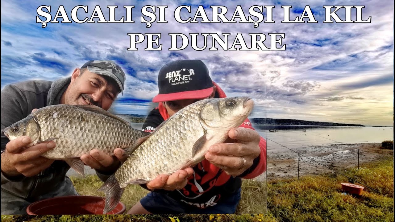 AVENTURI Pe Dunare cu ȘACALI și CARAȘI LA KIL TOAMNA 10 Octombrie 2024