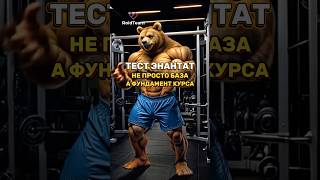 Сколько реально можно набрать на курсе? Смотри правду #намассе #доипосле #качок #мышцы #набормассы