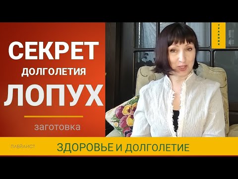Как заготовить лопух   Как посадить лопух дома @IrinaLavande