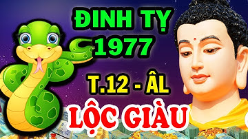 TOP 3 PHƯỚC BÁU CỰC LỚN Tuổi Đinh Tỵ 1977 Hưởng Lộc Trời TRÚNG SỐ 100 Tỷ Đổi Đời Giàu To T.12 ÂL