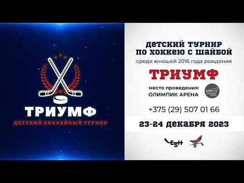 Видео: 23.12.2023. Триумф. 2016. ЛС. ШРС-5 - Шахтер