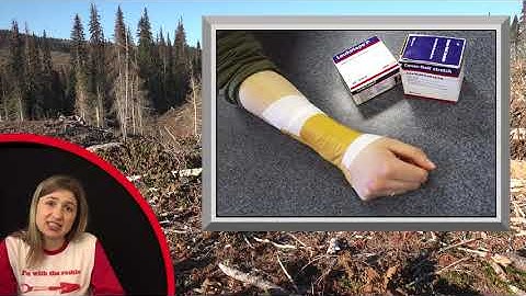 Tree Planter Training 2019 - Working Safely, Hazards