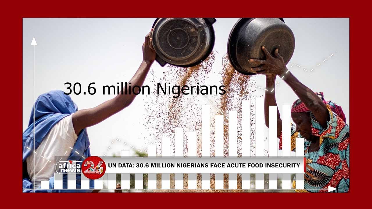 UN Data 30 6 million nigerians face acute food insecurity - YouTube