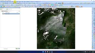 ForestGIS | Sử dụng ảnh vệ tinh Offline Nội bộ - Hội nhập