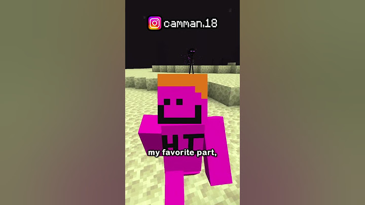 THE NEW MINECRAFT WORLD RECORD