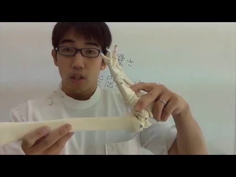 足首の硬さ（背屈がやりにい）「整体知恵袋.com」