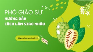 Cùng sống xanh số 32: Chuyên gia dành hơn 30 năm nghiên cứu siro nhàu