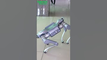 Unitree A2 Quadruped Robot | Industrial-Grade Robot for Logistics, Inspection & Rescue Missions