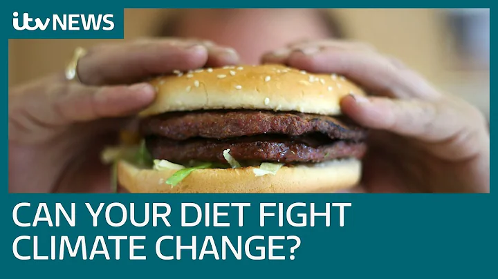 Eating a plant-based diet will help tackle climate change, says UN | ITV News