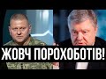 Всі мрії коту під хвіст! Порохоботи вз&#39;їлись-Залужного з п&#39;єдесталу! Ніякого політичного майбутнього