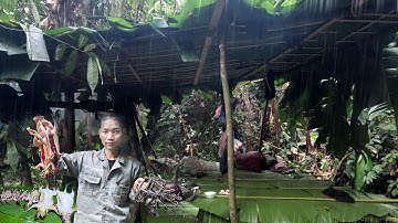 #43: 48h Bẫy Chuột   Nấu Ăn, sinh hoạt trong rừng mưa gió   Giới Hạn Sinh Tồn