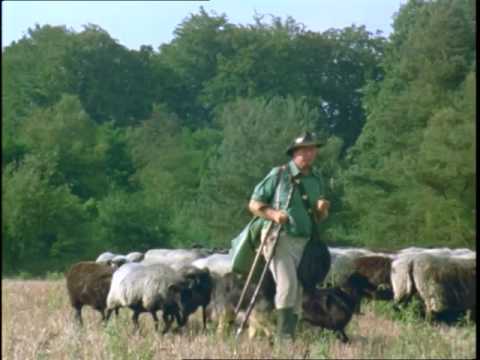 Naturpark Wildeshauser Geest | die nordstory | NDR Doku