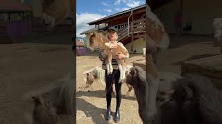 PFERD auf dem ARM?😳