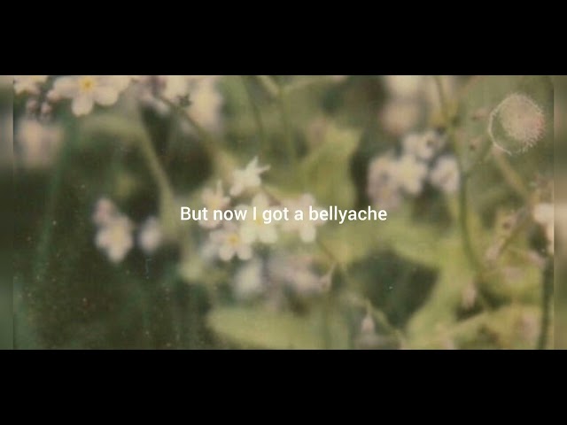 Bellyache - Billie Eilish (lyrics) #lyrics #songlyrics #bellyache #bil