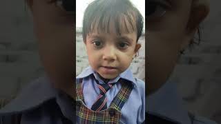 Playway and nursery Maths oral National Public School Vijay Park 