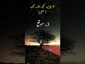 4 cheezein  quotes in urdu shorts