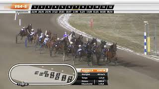 Vidéo de la course PMU COURSE 8
