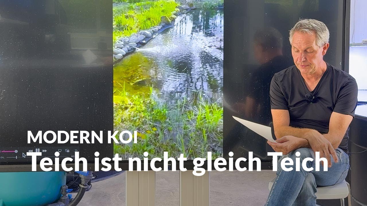 Kann ein Naturteich ein Koiteich sein? | Modern Koi Blog #7826