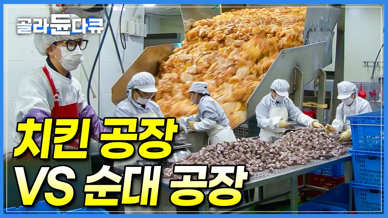 공장에서 하루만에 다 만듭니다. 순대 6톤 치킨 4톤🍗 한국인이 사랑하는 치킨과 순대 만드는 과정 │야식 공장 │순댓국 재료│극한직업 │ #골라듄다큐