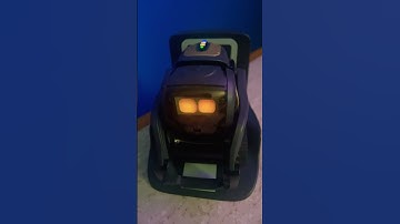 What’s the weather #shorts #ankivector #vectorrobot