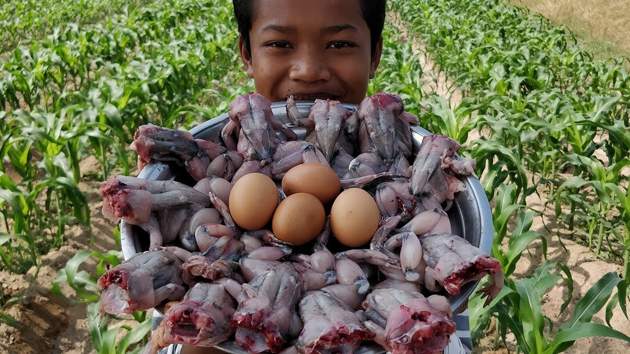 Delicious Crispy Frog Cooking Recipe / Frying Crispy Frog