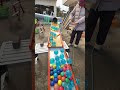 Marble Run ☆ Legendary Performer Miss Ebihara②