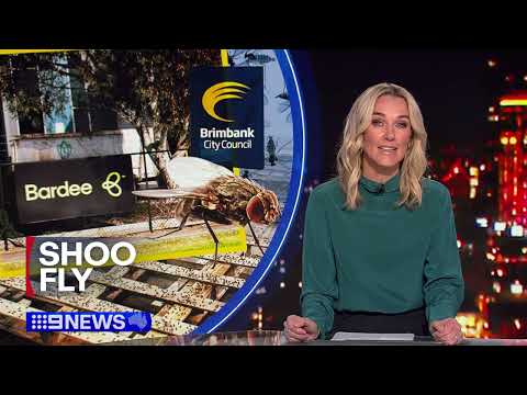 9 News Melbourne's coverage of Council's response on exessive odour and insects in Sunshine West