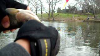 trout fishing woodward park