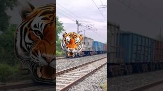 Dangerous Bengal tiger, Malgadi express #train #shorts 