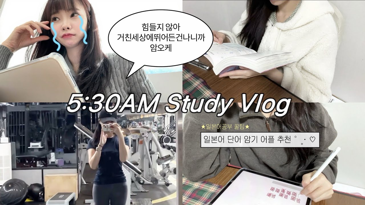 📝 5:30 기상 30대 수험생 공부 브이로그 | 일본어 단어 암기 어플 추천 | 일본어 공부 | 집공 | 도서관 | 아이패드 공부 | 운동 | 독서 | Study Vlog