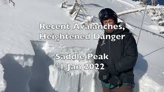 Recent Avalanches, Saddle Peak, Bridger Range - 1 Jan 2022