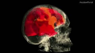 MRI scans show woman s brain fully activating during orgasm