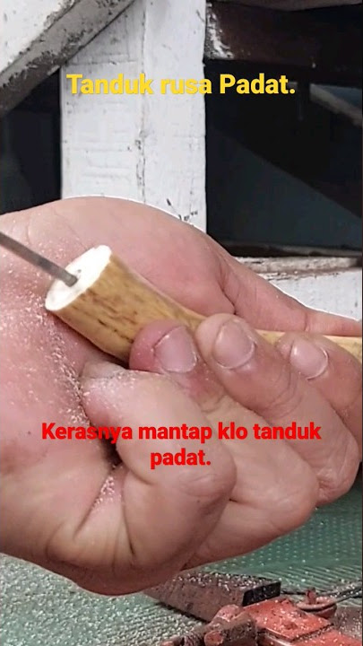 Cara ngebor pipa rokok dari tanduk rusa yg padata. #pengrajin #once #piparokok #rusa