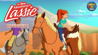 The New Adventures of Lassie | Round Up ! | Cartoon Series | @THEJUNGLEBOOK
