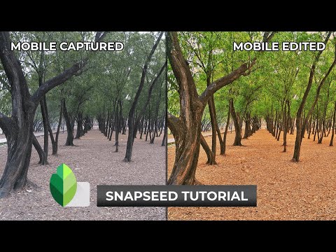 Make Images Look DRAMATIC in SNAPSEED | SNAPSEED TUTORIAL | Android | iPhone | Snapseed Editing