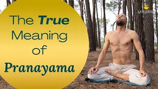 The True Meaning of Pranayama | Transformational session with Michaël Bijker