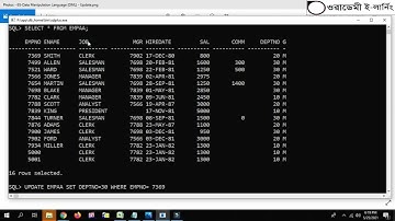 65-Data Manipulation Language (DML) - Update