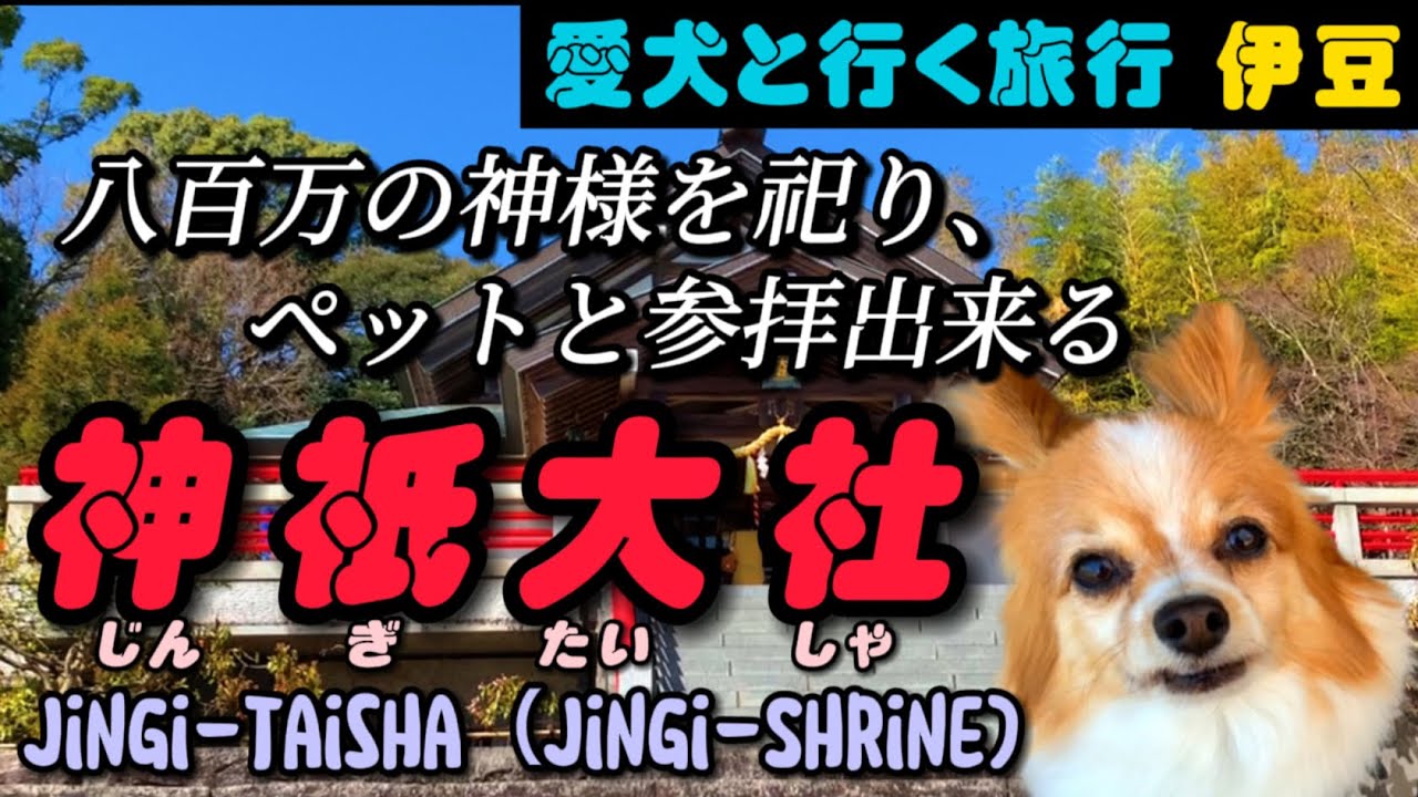 【伊豆高原】ペットと参拝できる「神祇大社」Shrines where you can visit with your pets 'Jingi Taisha (Jingi Shrine)'