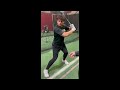 Triangle Posture and Lower half