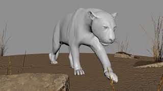Leopard walkcycle by Student Shazzad Rafsan at Mythical Motions Animation Academy