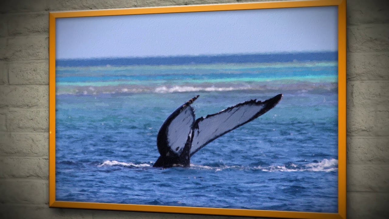 PHOTOYAGE - Tableau 04 - Galerie 25 tableaux - version OILPAINT High Details