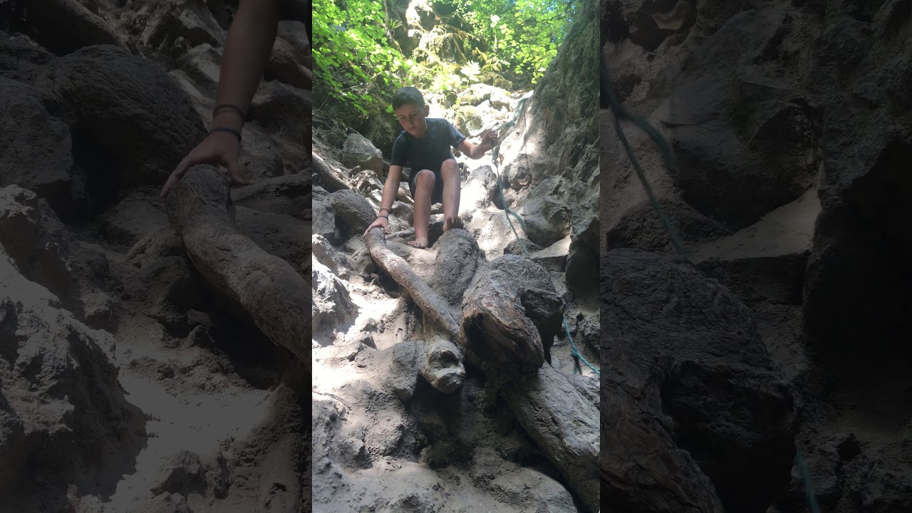 camera iphone 8 plus apk Toketee Falls, Oregon