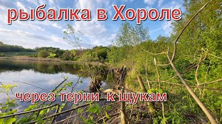 Рибалка спиннингом в Хороле. Полтавская обл. Проверка на наличие рыбы #1 Обнаружена щука и окуня