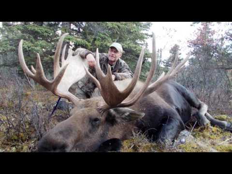 New Long Range Hunting Loads from Barnes Bullets: Guns & Gear|S8 E4