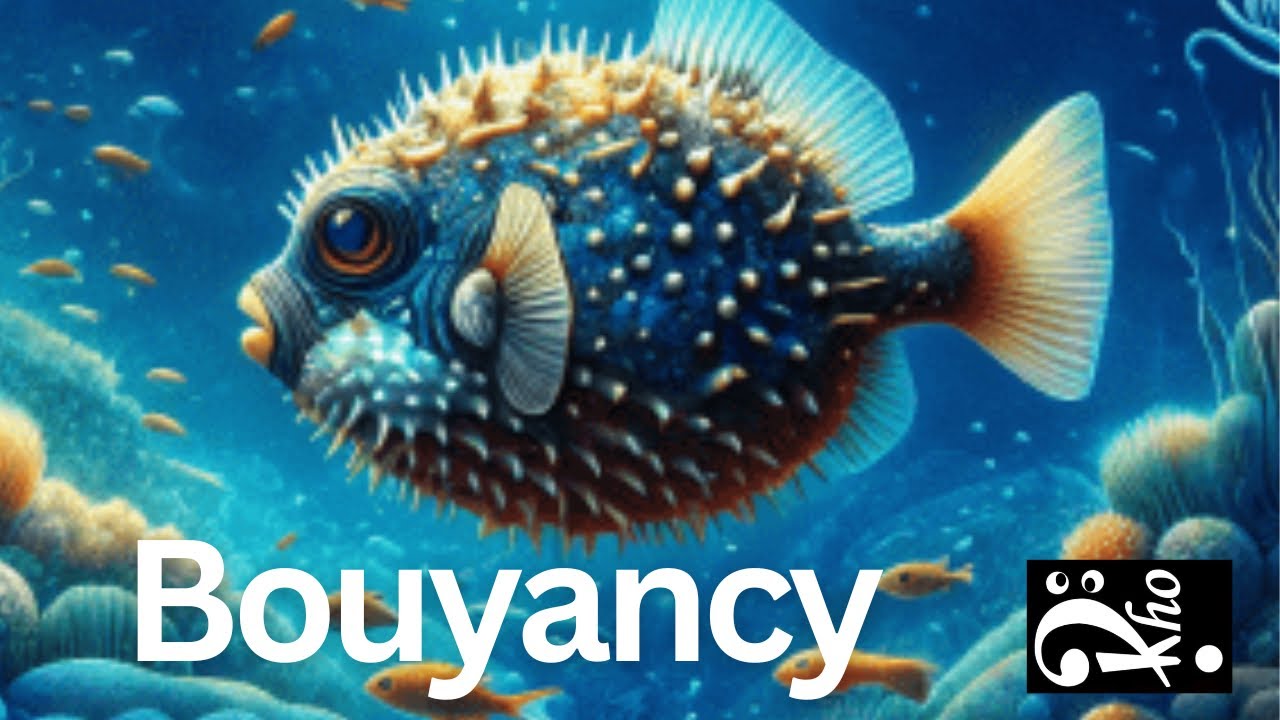 Rho Original Jams - Bouyancy