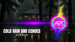 NoCopyrightSounds - Cold Rain and Echoes #royaltyfreemusic