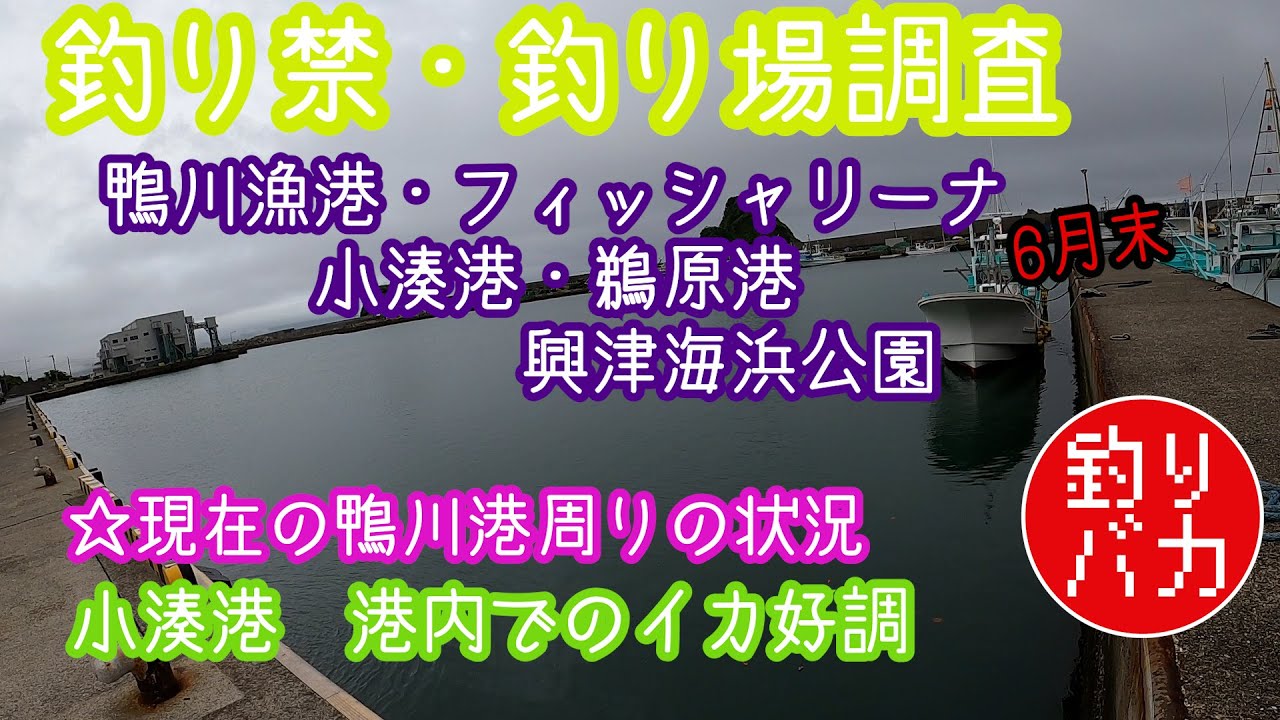 釣り禁 釣り場調査 外房 鴨川港 フィッシャリーナの現在の状況と 興津 鵜原港 小湊港の釣果情報 混雑状況など 港にあるトンネルを超えたら また港があった Youtube